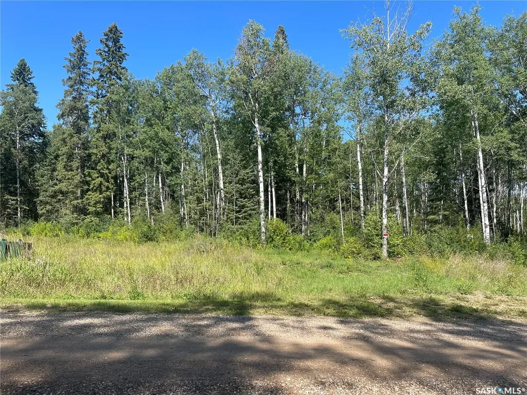 2 Phillips Crescent Big River Rm No. 555 SK S0J 0E0