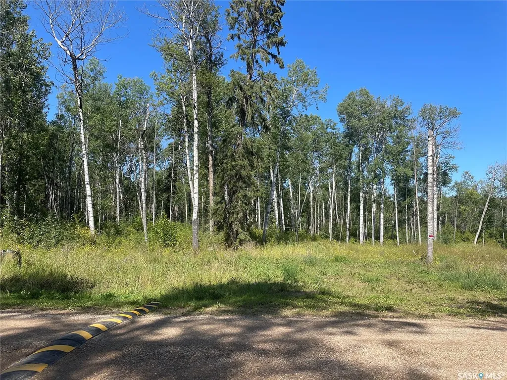 4 Phillips Crescent Big River Rm No. 555 SK S0J 0E0