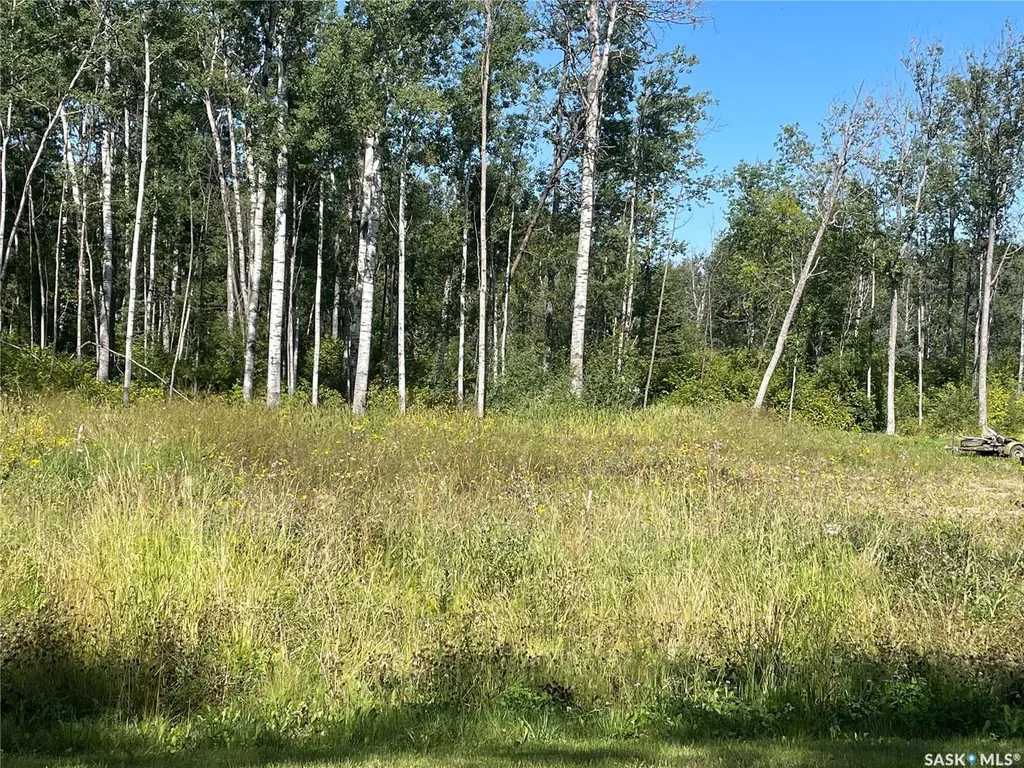 5 Phillips Crescent Big River Rm No. 555 SK S0J 0E0
