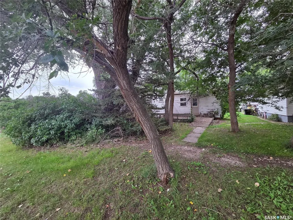227 Main Street Hazenmore SK S0N 1C0