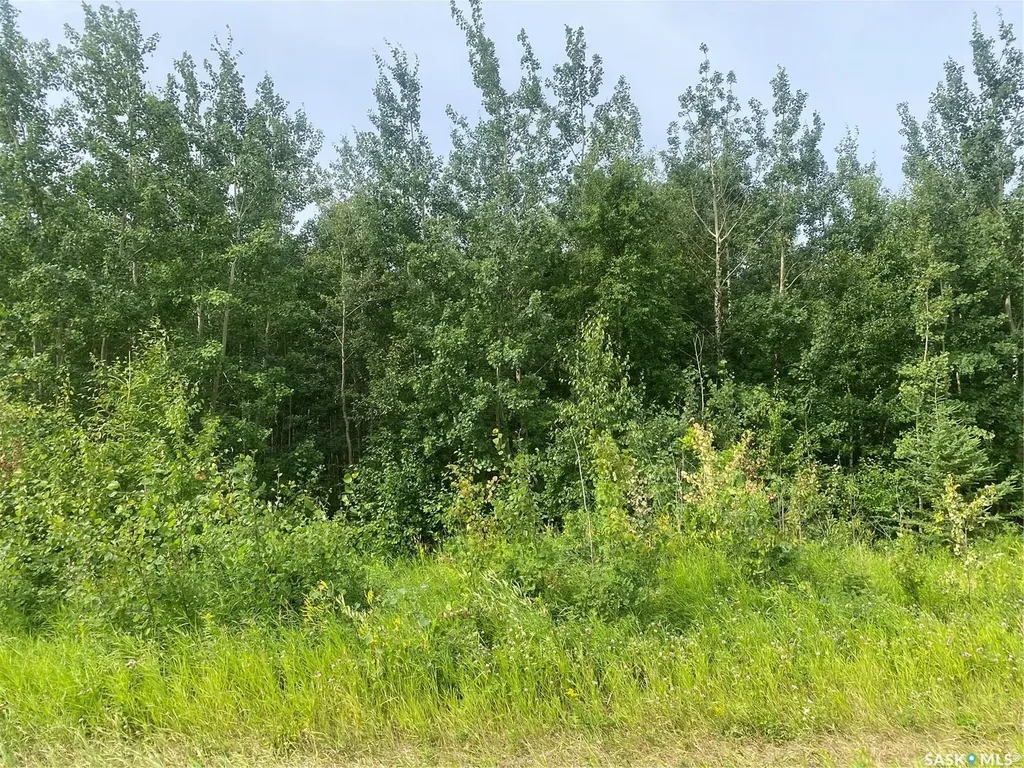 Rural Address Paddockwood Rm No. 520 SK S0J 2N0