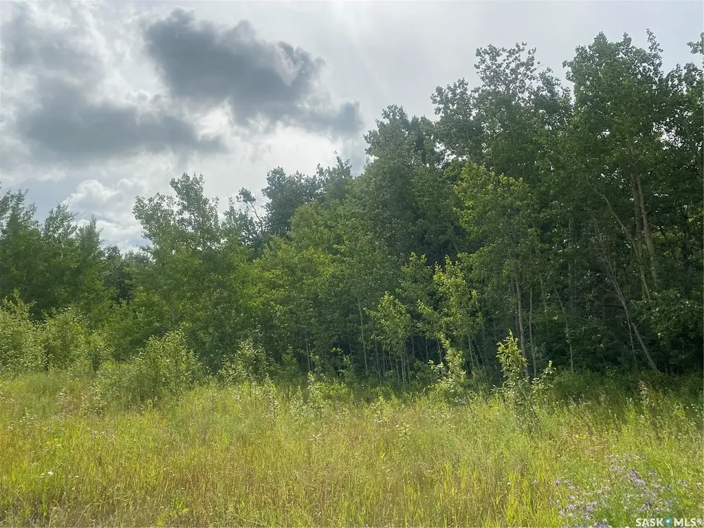 Rural Address Paddockwood Rm No. 520 SK S0J 2N0