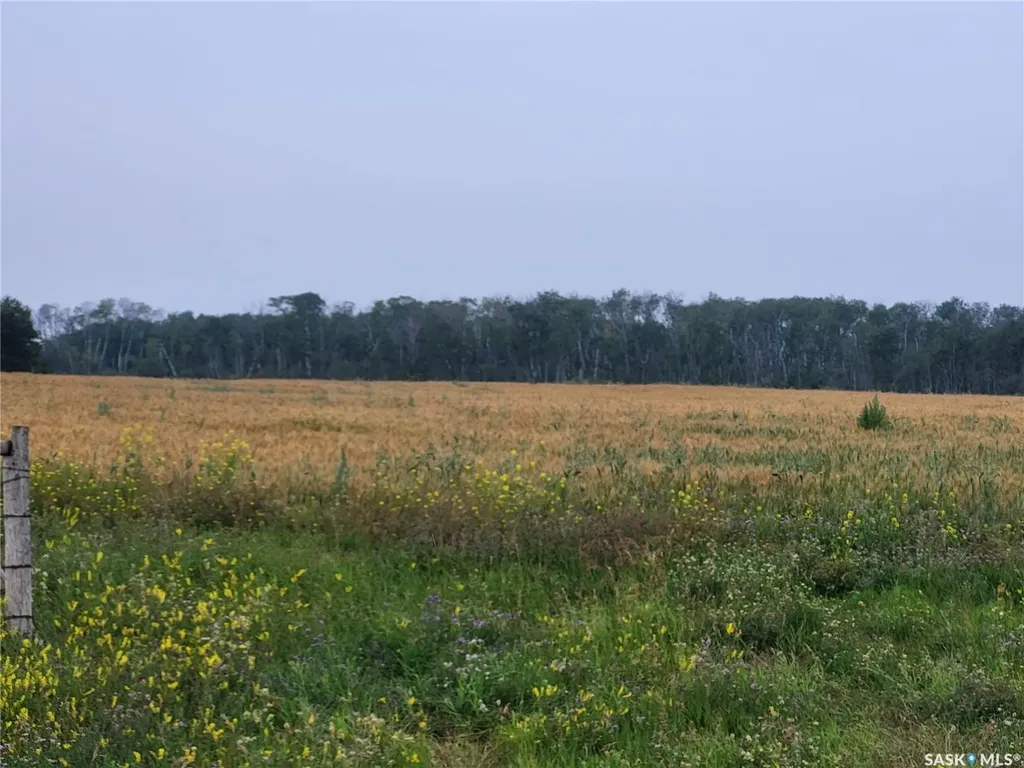 Rural Address Fish Creek Rm No. 402 SK S0K 4P0