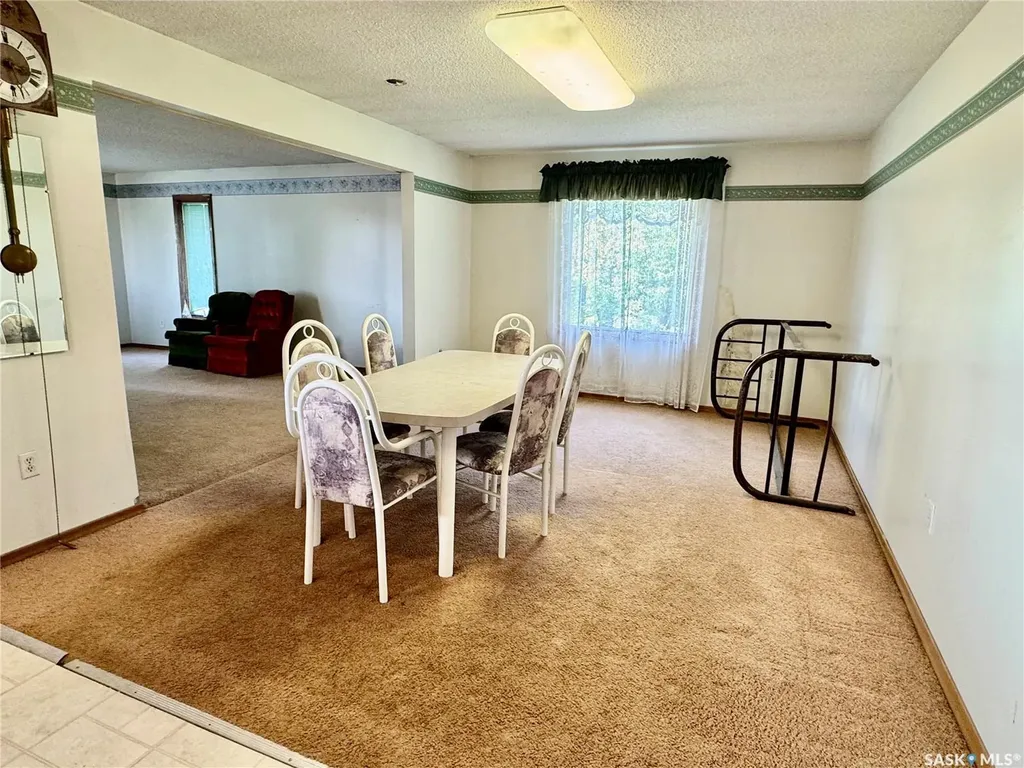 332 Norreys Street Drake SK S0K 1H0