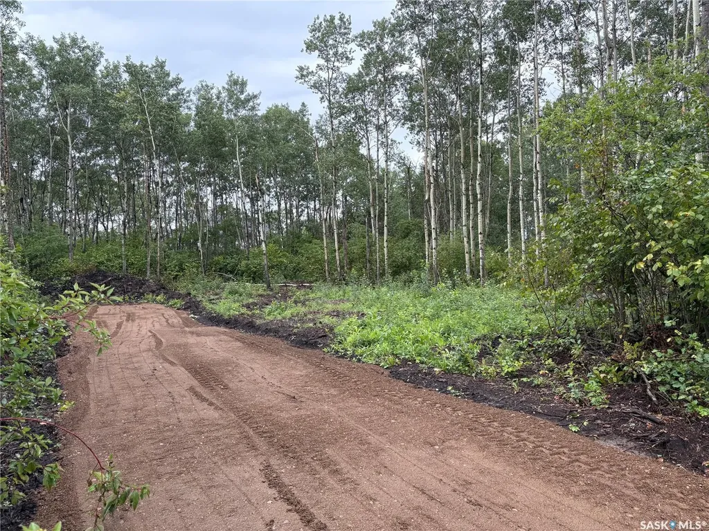 302 Black Bay Barrier Valley Rm No. 397 SK S0E 0B0