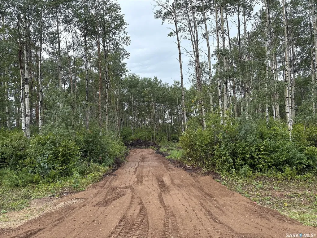 302 Black Bay Barrier Valley Rm No. 397 SK S0E 0B0