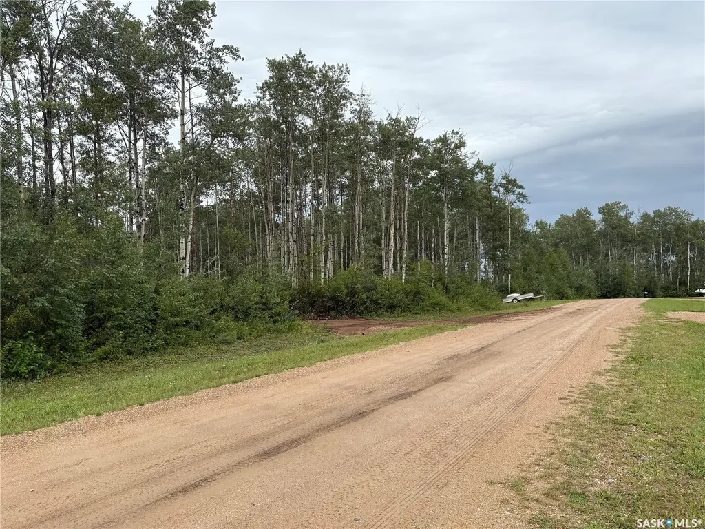302 Black Bay Barrier Valley Rm No. 397 SK S0E 0B0