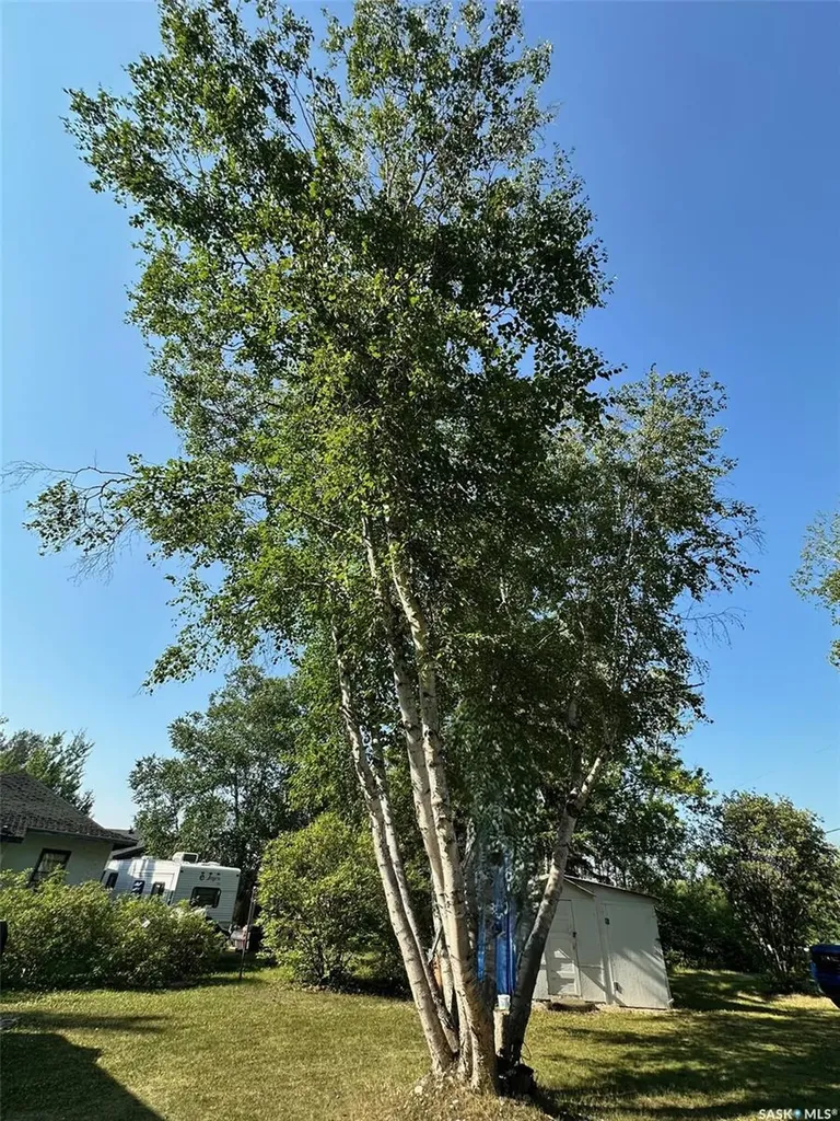 24 Ruby Crescent Hudson Bay SK S0E 0E0