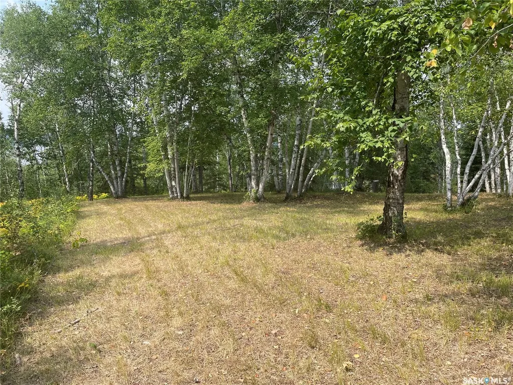 14 Rural Address Big River Rm No. 555 SK S0J 0E0