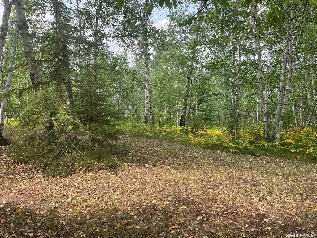 14 Rural Address Big River Rm No. 555 SK S0J 0E0