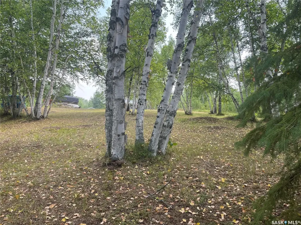 14 Rural Address Big River Rm No. 555 SK S0J 0E0