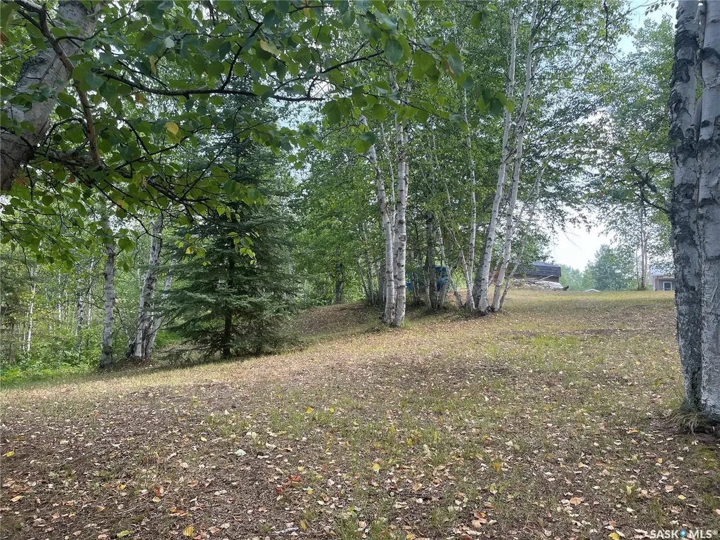14 Rural Address Big River Rm No. 555 SK S0J 0E0