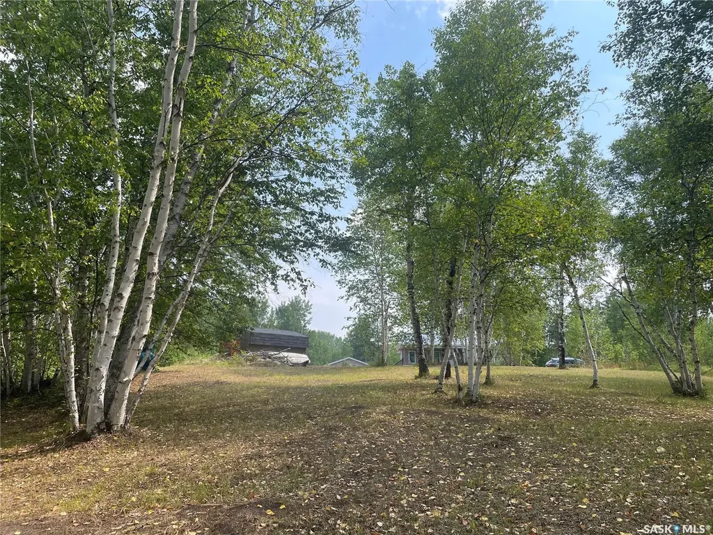 14 Rural Address Big River Rm No. 555 SK S0J 0E0