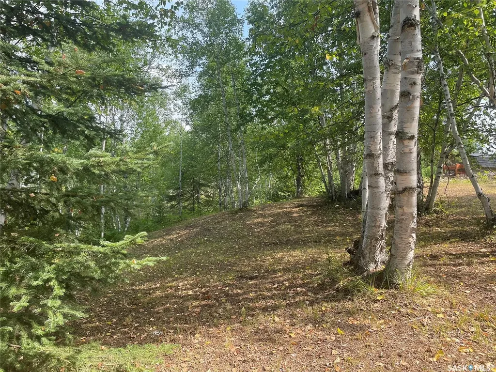 14 Rural Address Big River Rm No. 555 SK S0J 0E0