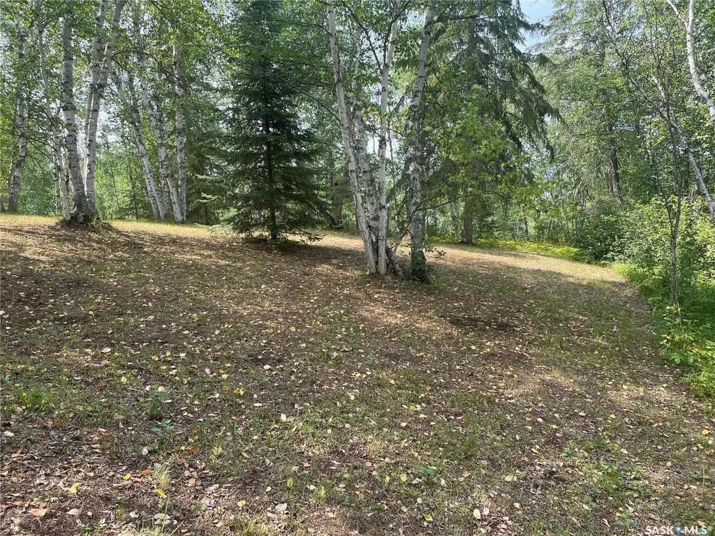 14 Rural Address Big River Rm No. 555 SK S0J 0E0