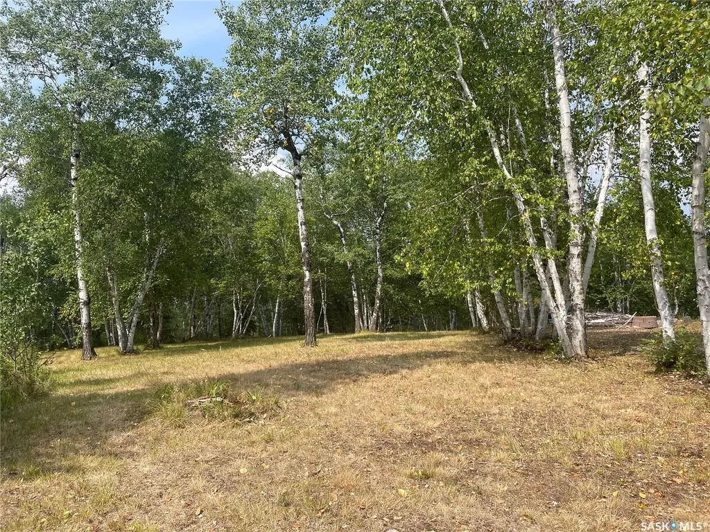 14 Rural Address Big River Rm No. 555 SK S0J 0E0