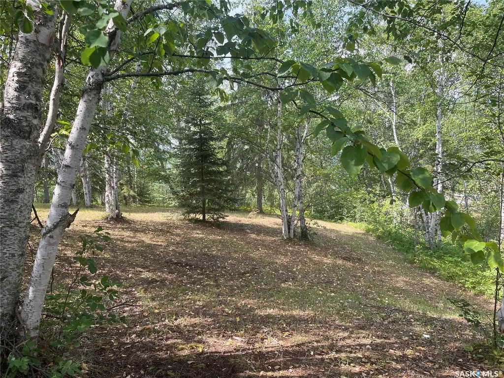 14 Rural Address Big River Rm No. 555 SK S0J 0E0