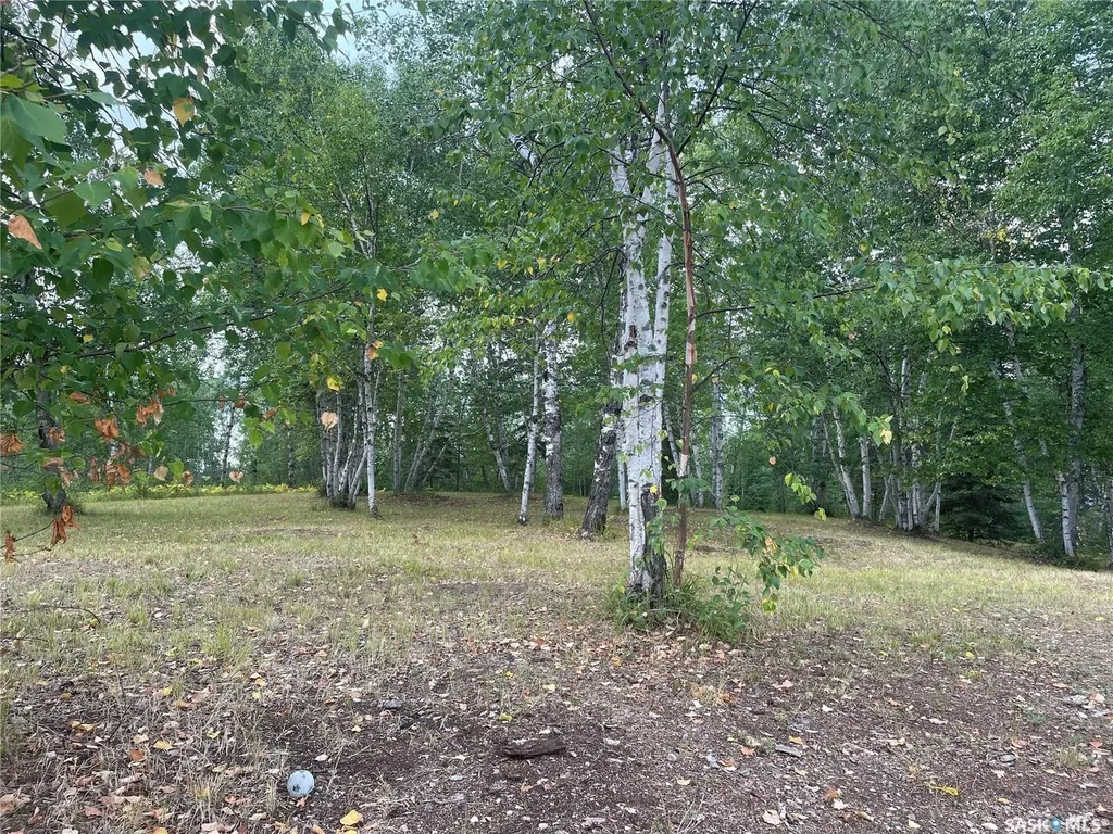14 Rural Address Big River Rm No. 555 SK S0J 0E0