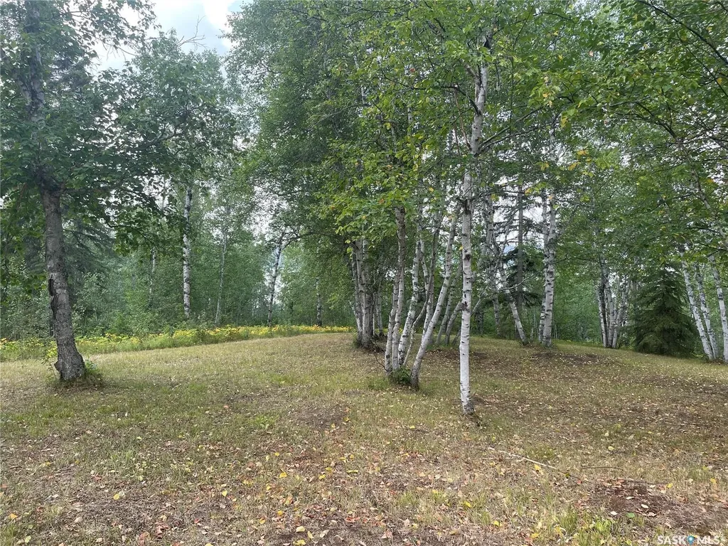 14 Rural Address Big River Rm No. 555 SK S0J 0E0