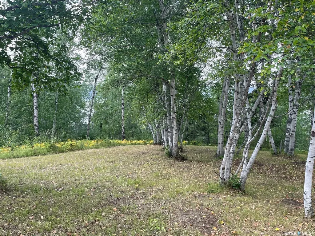14 Rural Address Big River Rm No. 555 SK S0J 0E0