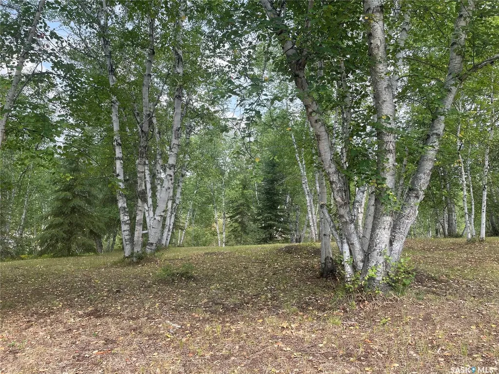 14 Rural Address Big River Rm No. 555 SK S0J 0E0