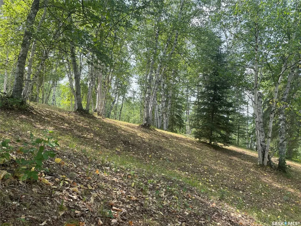 14 Rural Address Big River Rm No. 555 SK S0J 0E0