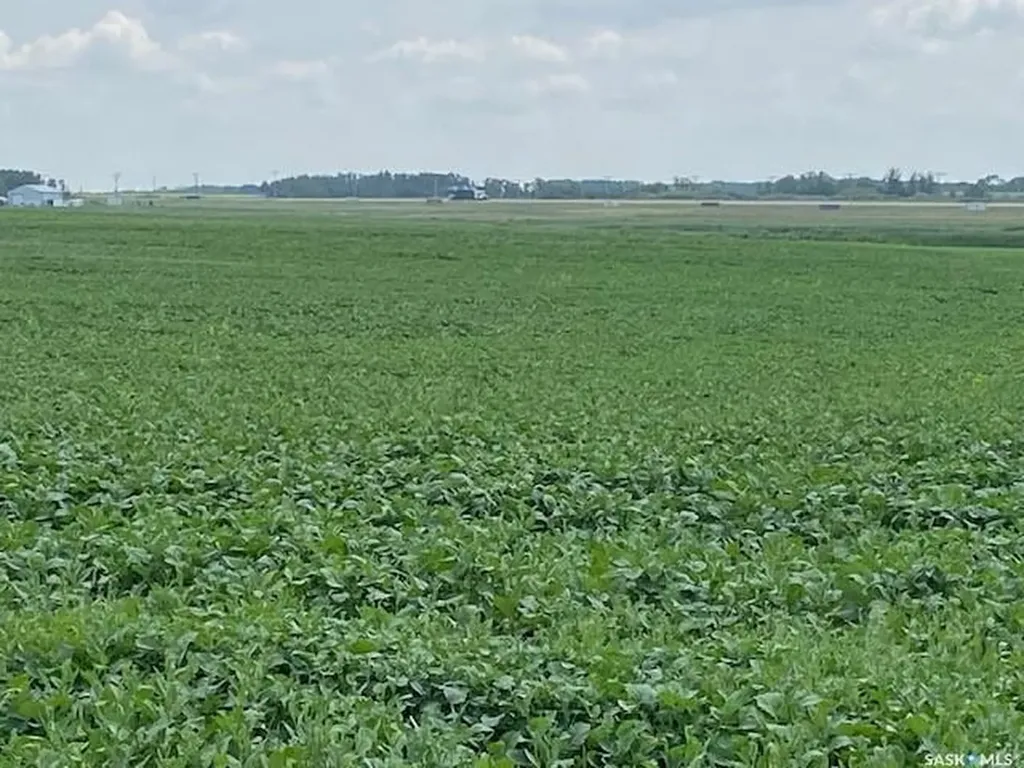 Rural Addr Rural Address Moosomin Rm No. 121 SK S0G 3N0