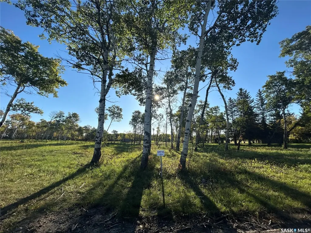 Rural Address Moosomin Rm No. 121 SK S0G 3N0