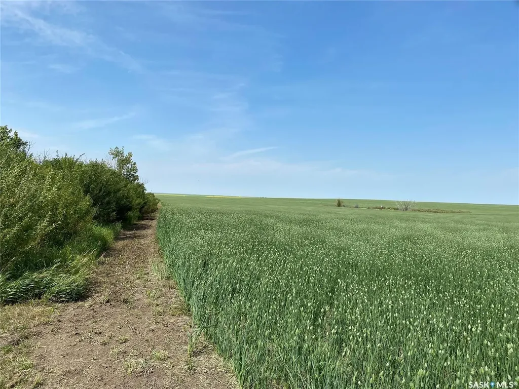 Rural Address Kindersley Rm No. 290 SK S0L 1S0