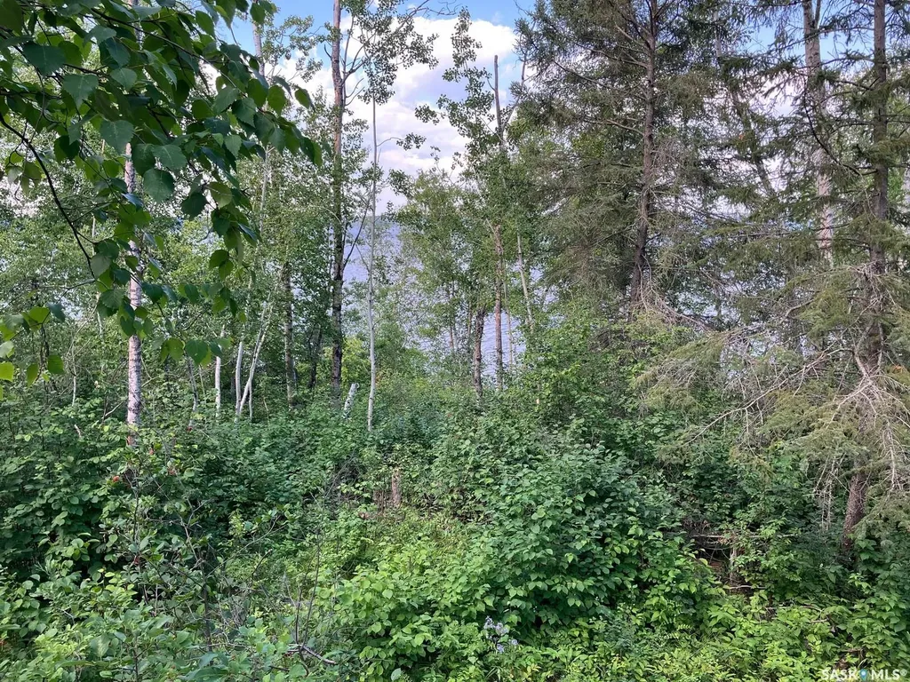 1 Birch Place Tobin Lake SK S0E 1E0