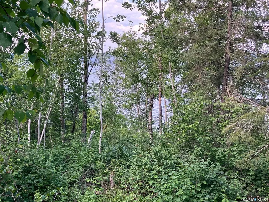 1 Birch Place Tobin Lake SK S0E 1E0