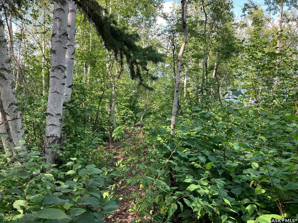 1 Birch Place Tobin Lake SK S0E 1E0