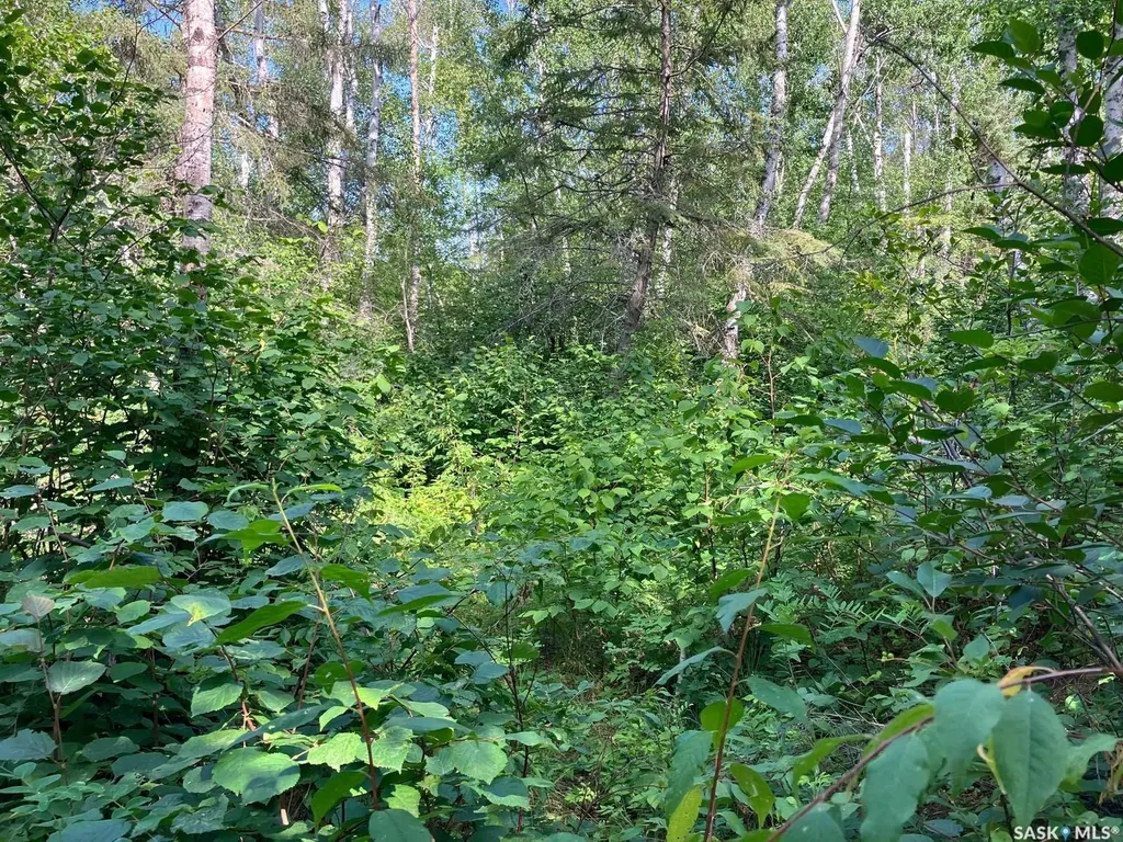 1 Birch Place Tobin Lake SK S0E 1E0