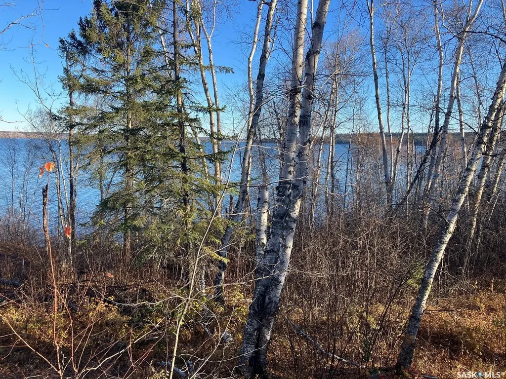 1 Birch Place Tobin Lake SK S0E 1E0