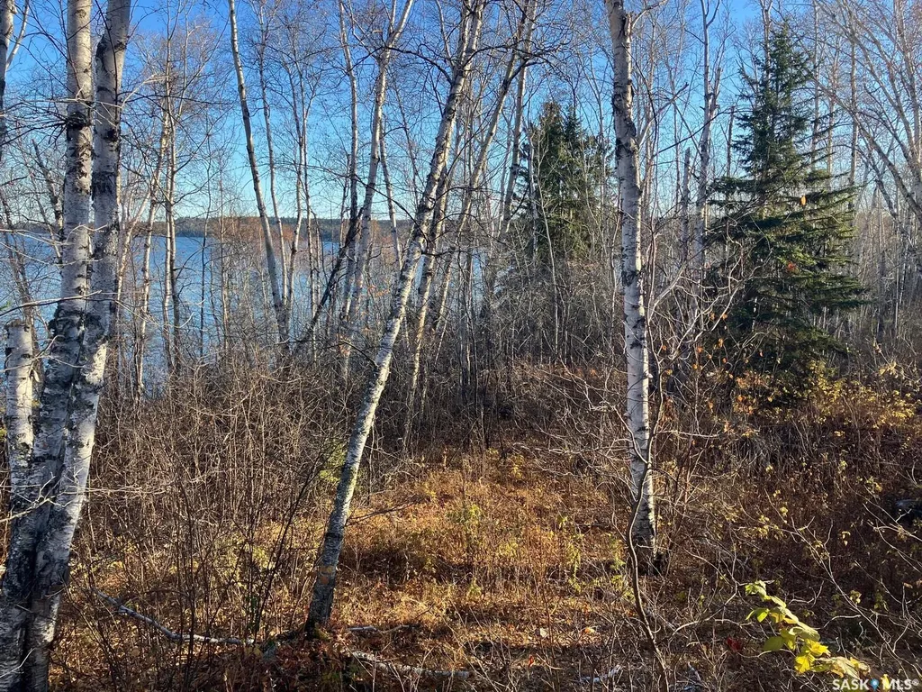 1 Birch Place Tobin Lake SK S0E 1E0