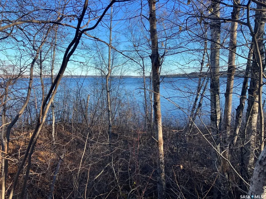 1 Birch Place Tobin Lake SK S0E 1E0