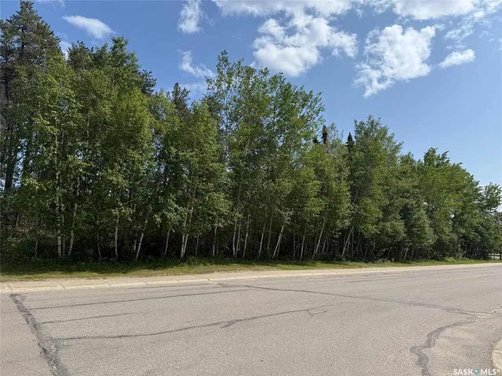 1455 Studer Street La Ronge SK S0J 1L0