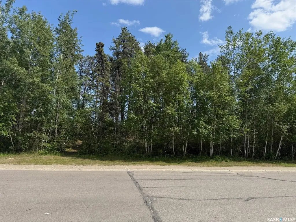 1455 Studer Street La Ronge SK S0J 1L0