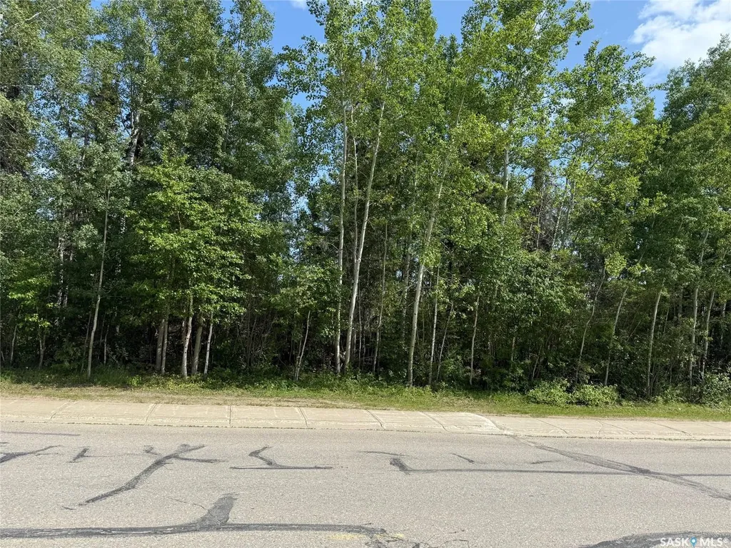 1455 Studer Street La Ronge SK S0J 1L0