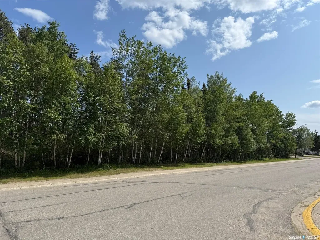 1455 Studer Street La Ronge SK S0J 1L0