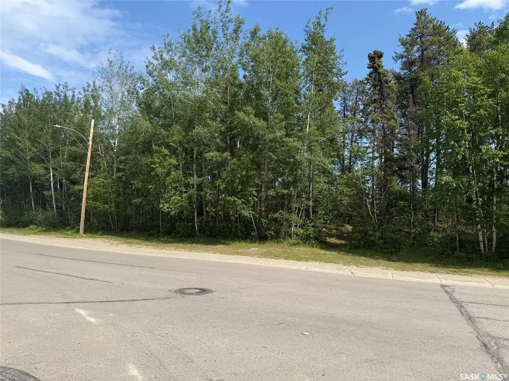 1455 Studer Street La Ronge SK S0J 1L0