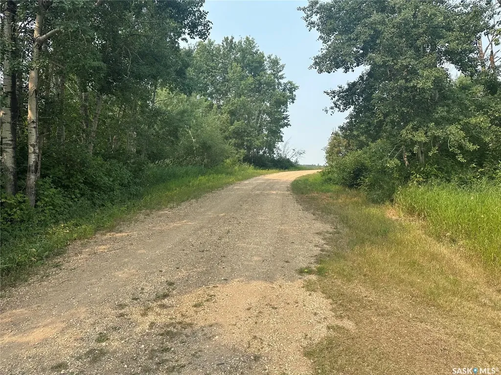 213430 Rural Address Arran SK S0A 0B0