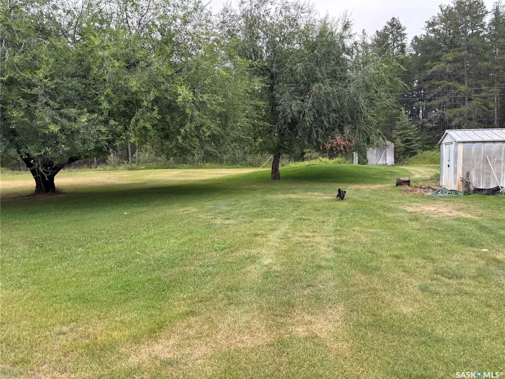 609 10th Street N Nipawin Rm No. 487 SK S0E 1E0
