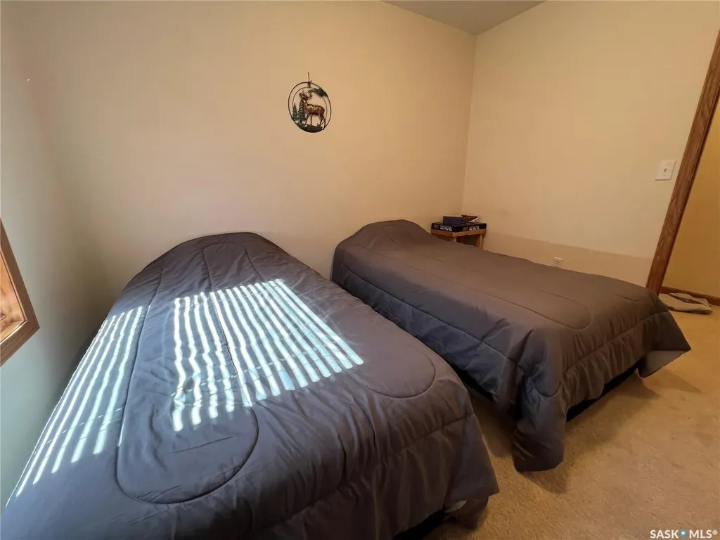 19 Meadowlark Court Diefenbaker Lake SK S0H 3P0