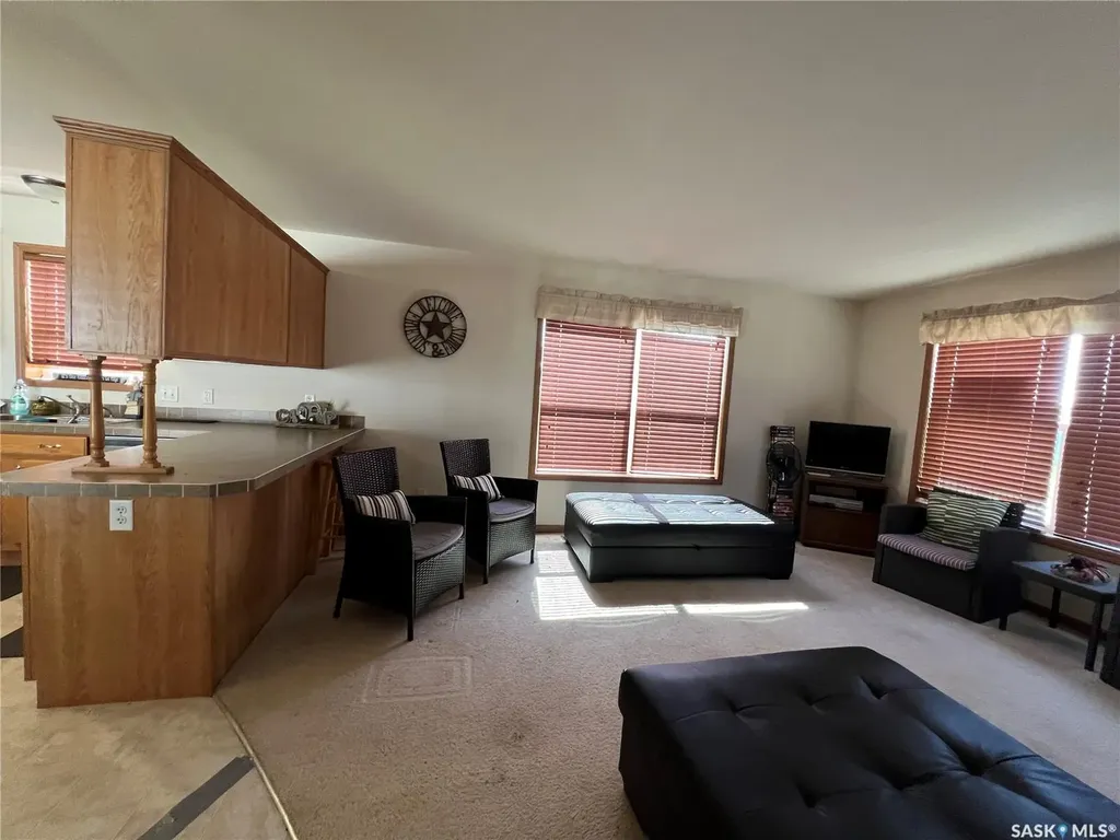 19 Meadowlark Court Diefenbaker Lake SK S0H 3P0