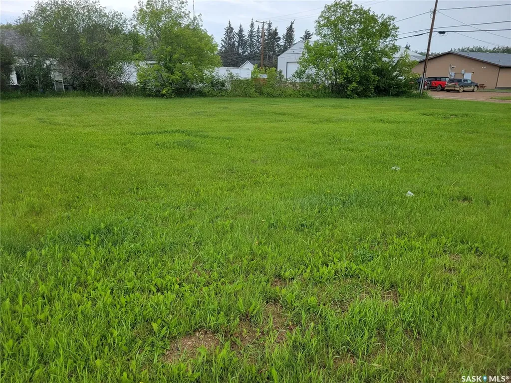 172 & 174 1st Street W Pierceland SK S0M 2K0