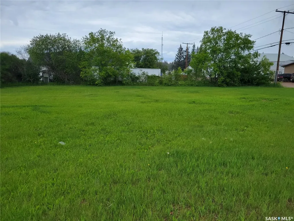 172 & 174 1st Street W Pierceland SK S0M 2K0