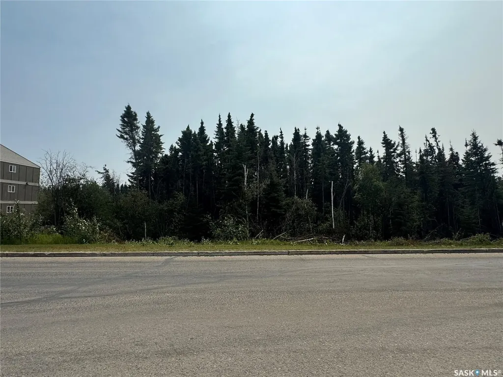 1415 Bedford Drive La Ronge SK S0J 1L0