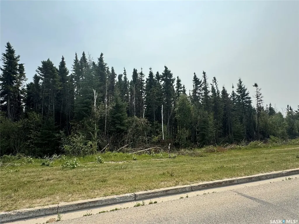 1415 Bedford Drive La Ronge SK S0J 1L0