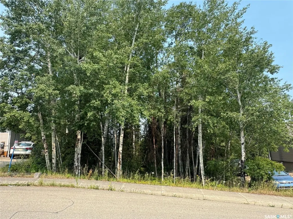 988 Thompson Crescent La Ronge SK S0J 1L0